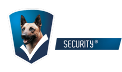 Van Gool Security